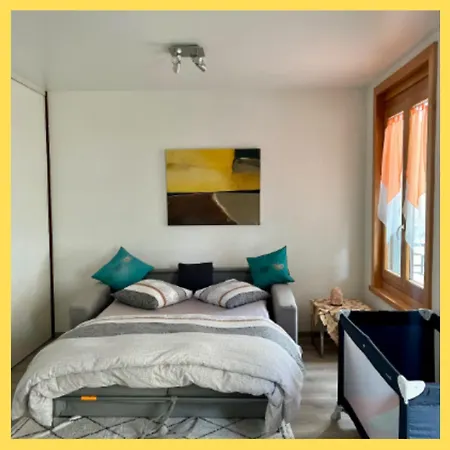 Magnifique T3 Spacieux De 150 M Carres Vue Leman Apartament *
