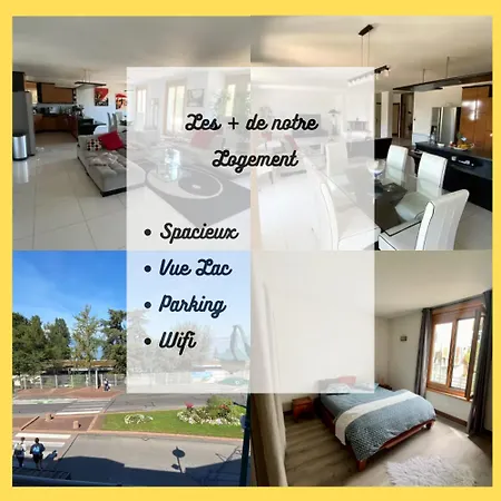 Magnifique T3 Spacieux De 150 M Carres Vue Leman *